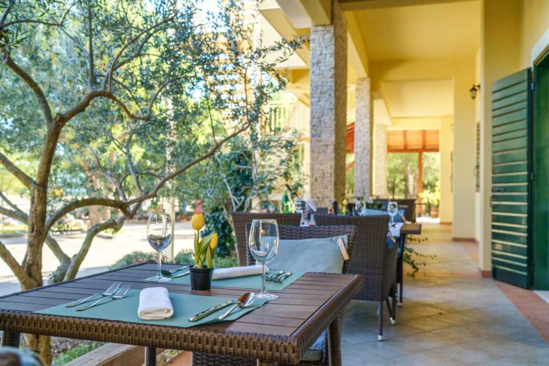 Restaurant terrace overlooking the surroundings